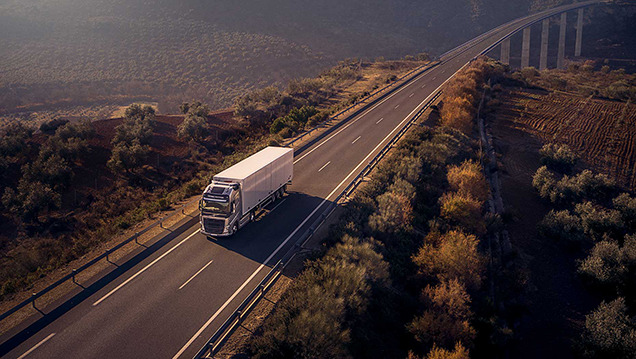 Volvo Trucks   Volvo FH,       7%